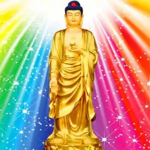 佛头像图片大全唯美佛主的微信头像图片大全
