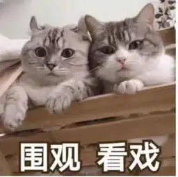 情侣互扇脸后又拥吻啊啊啊啊啊这是什么狗血剧情
