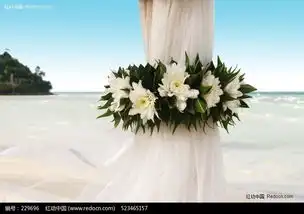 海边浪漫婚礼高清图片素材图片免费下载编号229696红动网
