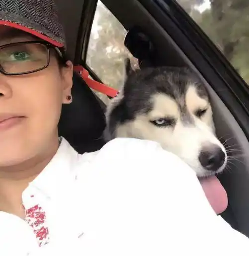 萌宠有狗狗的的生活就是一部情境喜剧啊
