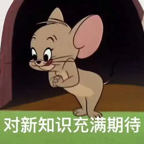 你会给25岁还是母胎solo的女生什么建议
