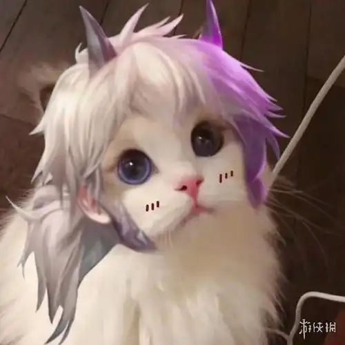 王者荣耀猫咪接头头像大全
