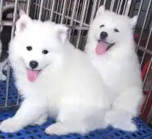 黄页88高清图片
