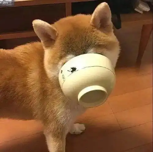 头像丨换上好看的情侣头像
