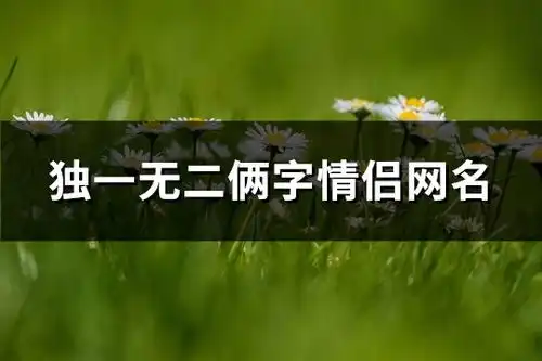 独一无二俩字情侣网名精选279个
