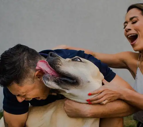 情侣携爱犬拍摄结婚照,接下来的这组照片,被超过600万人浏览
