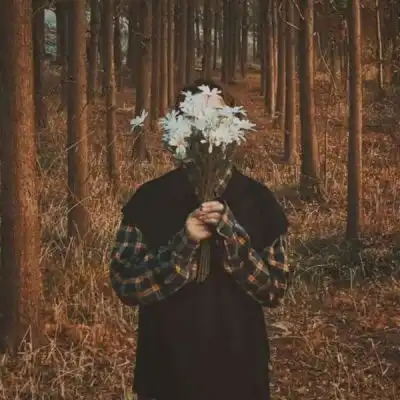 卿姒.寓意卿为朝朝暮暮
