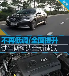 速派2016款330tsi双离合智行版汽车图片