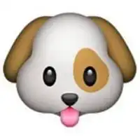 微信头像是自己养的狗狗微信头像图片大全
