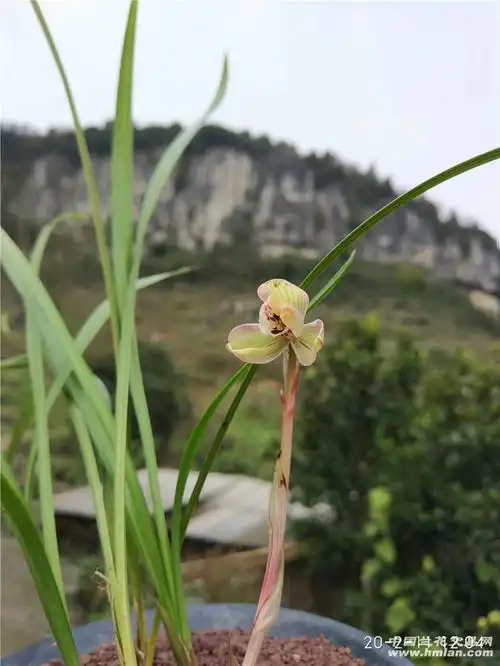 这个花花比俺乖同意的举手
