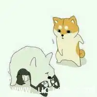 柴犬逗比情侣头像一对微信头像图片大全

