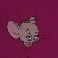 搞怪带表情猫咪头像微信头像图片大全
