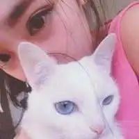 选择了爱你我就会不舍不弃情侣头像
