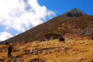 一个无人不知的县城丹巴,一处无人知晓的原始高山草场和高原海子丹巴骆驼沟探路图片
