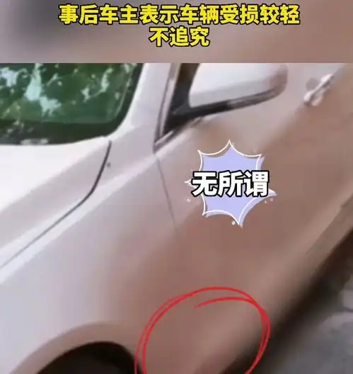 河南情侣街头亲热用力过猛摔倒,将车砸出坑,车主大度放弃追责
