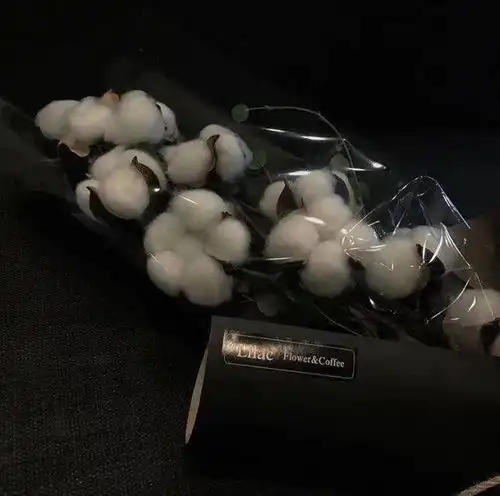 近期超火的朋友圈热门惊艳文案
