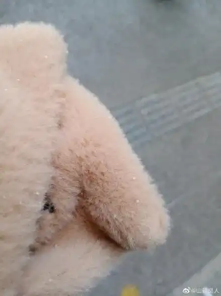成都下雪了
