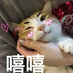 娜扎竟然窦骁的初恋他们藏的也太深了吧
