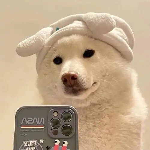 情头,不偏不倚刚好是你
