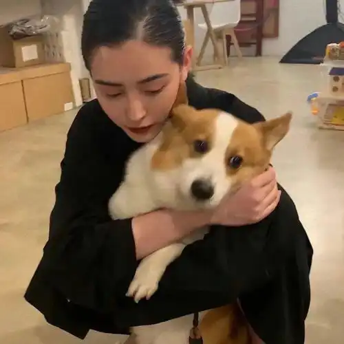 ins头像宝贝们快换上呐
