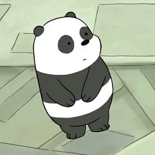 最近超迷恋这三只熊
