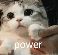 有什么沙雕头像

