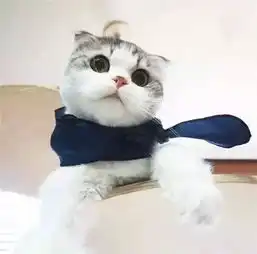 有人说你脸大,你就这么回他
