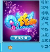 炫舞头像下的图标什么意思
