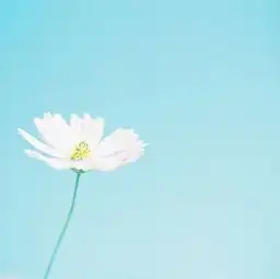射手座今日运程
