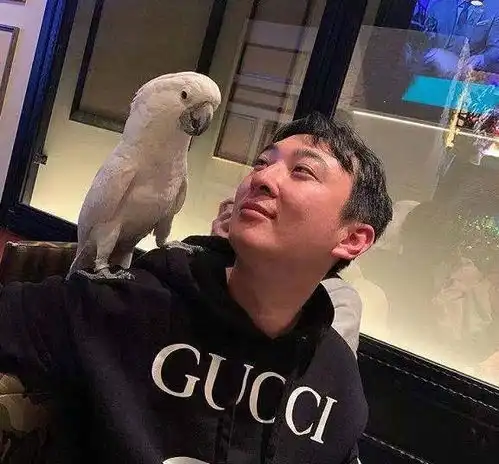 王思聪社交账号被封禁,这次踢到铁板了
