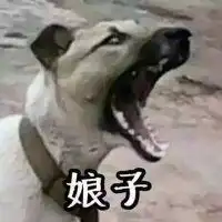 世界独一无二情侣头像微信头像图片大全
