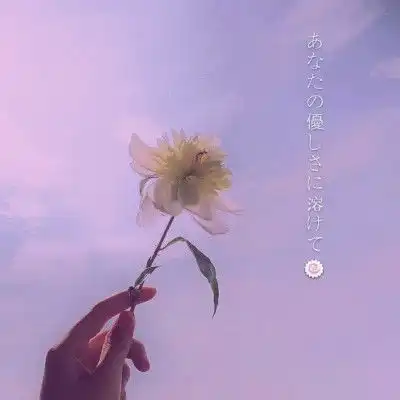 看一眼就会流泪的句子
