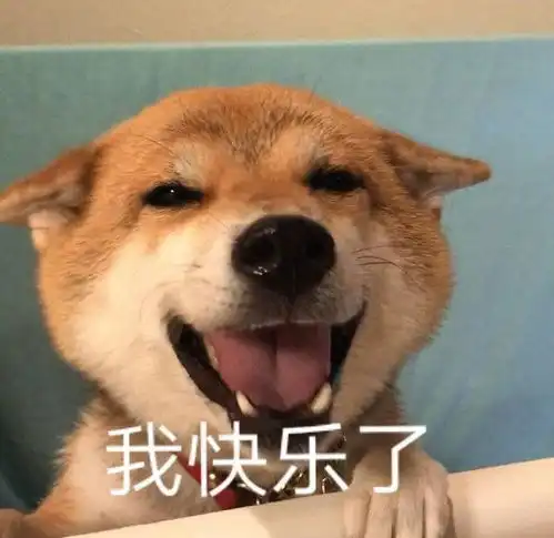 适合上学人的沙雕文案
