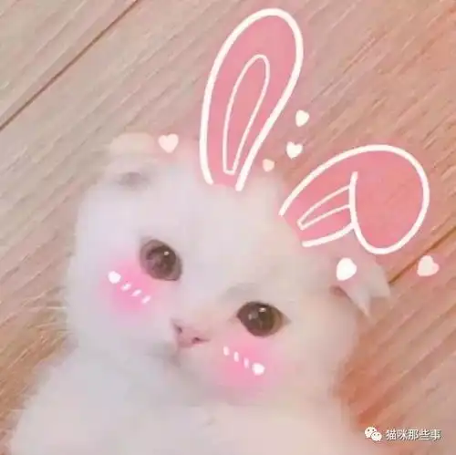 社会喵了解一下
