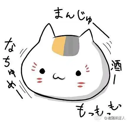 猫咪老师
