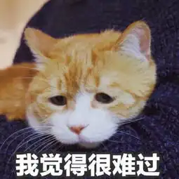 对我有意见吗捏碎你的蛋蛋捏碎蛋蛋意见表情
