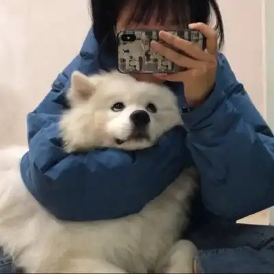 情头情头这样子做,才显得更高级
