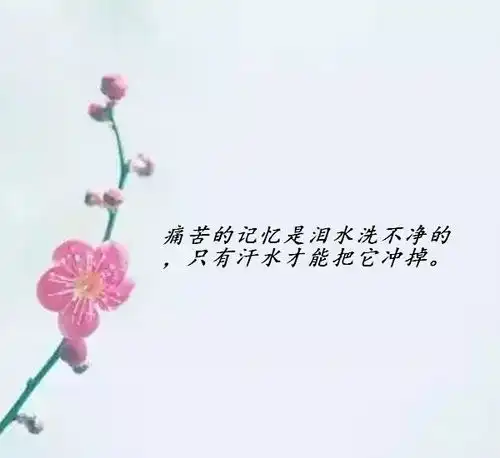 适合发朋友圈的情感说说心情短语句句走心
