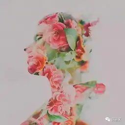 大神把摄影玩成绘画艺术请收下我的膝盖
