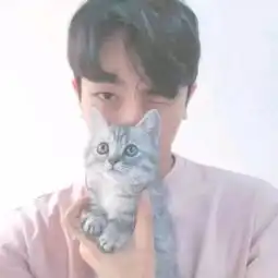 私藏大量猫情头,就差有个男朋友

