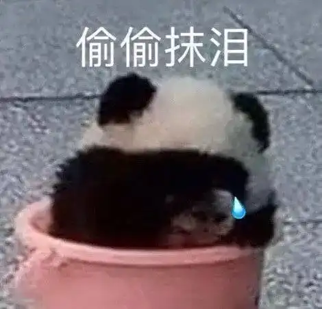 沙雕文案让人笑到直接裂开的沙雕文案
