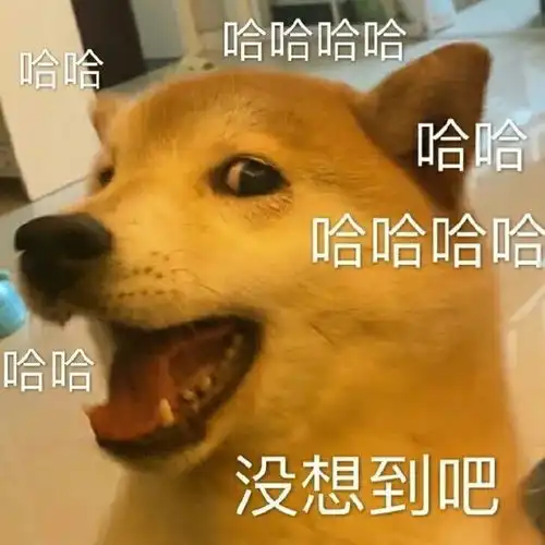 青春有你2宿舍是这样的,节目组你认真的吗
