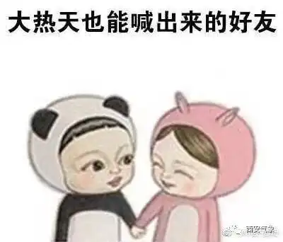 被风吹过的夏天
