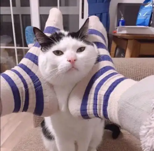 我主动会不会有故事

