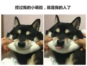 听说铲屎官都干过这事儿...
