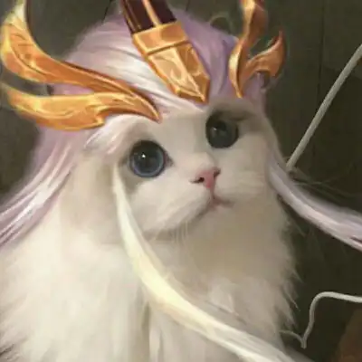 猫咪cos王者荣耀头像

