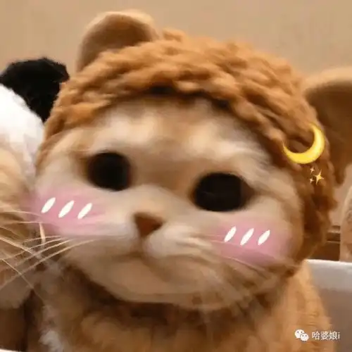 小说里的院长和夫人有脸了这就是平平无奇的小说照进现实吗
