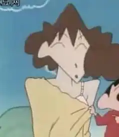 野原美伢搜狗百科
