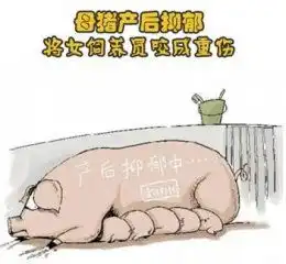 自媒体自媒体平台
