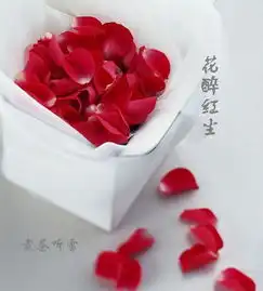 红尘觉醒
